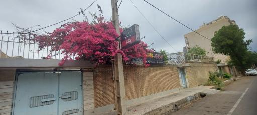 عکس فیزیوتراپی یکتا