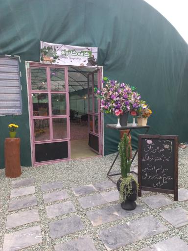 عکس کافه گلخونه دانشگاه