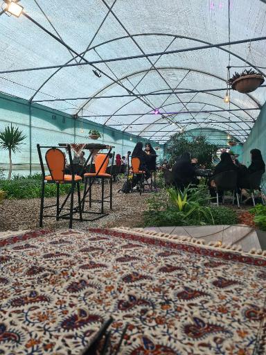 عکس کافه گلخونه دانشگاه