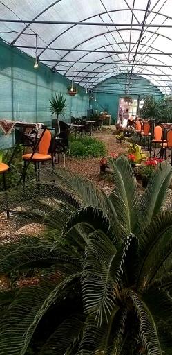 عکس کافه گلخونه دانشگاه