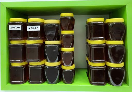 عکس عطاری دامنتا