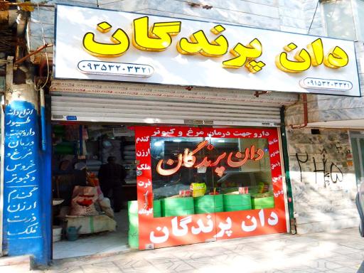 عکس فروشگاه دان پرندگان