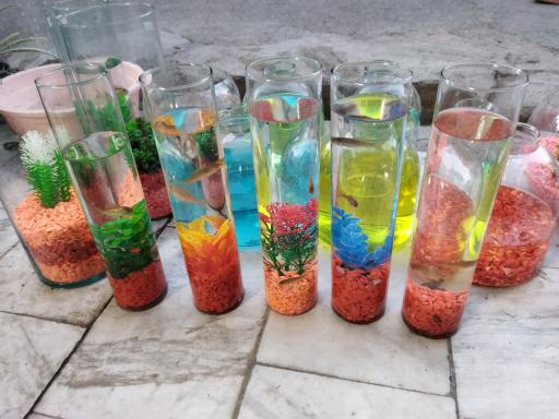 عکس گل فروشی علیرضا