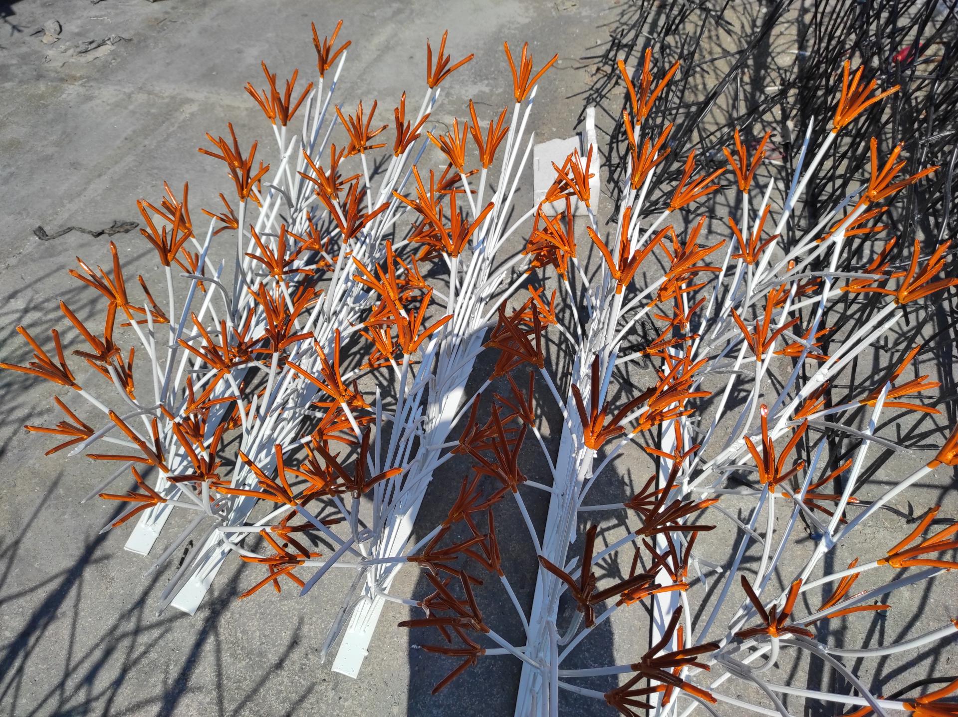 عکس حفاظ برتر