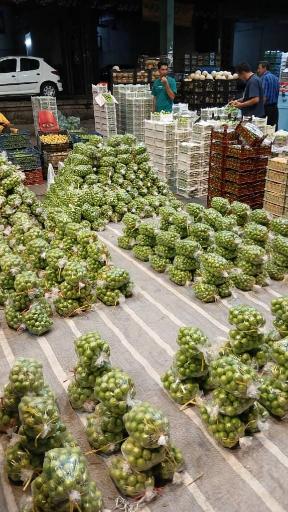 عکس حق العمل کاری اکبر قدیری