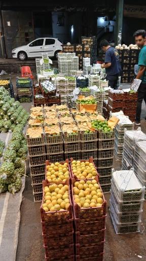 عکس حق العمل کاری اکبر قدیری