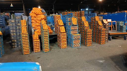 عکس حق العمل کاری اکبر قدیری