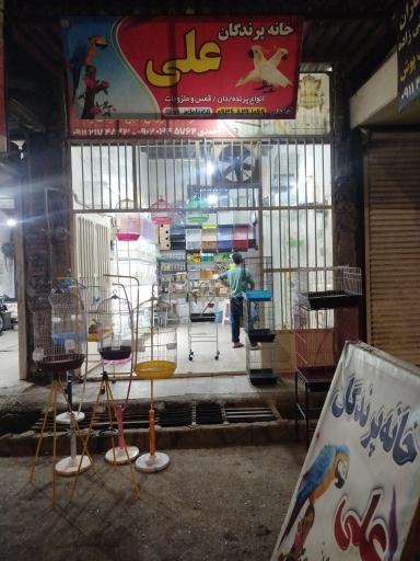 عکس پرنده سرای علی 