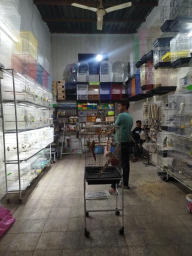 پرنده سرای علی 