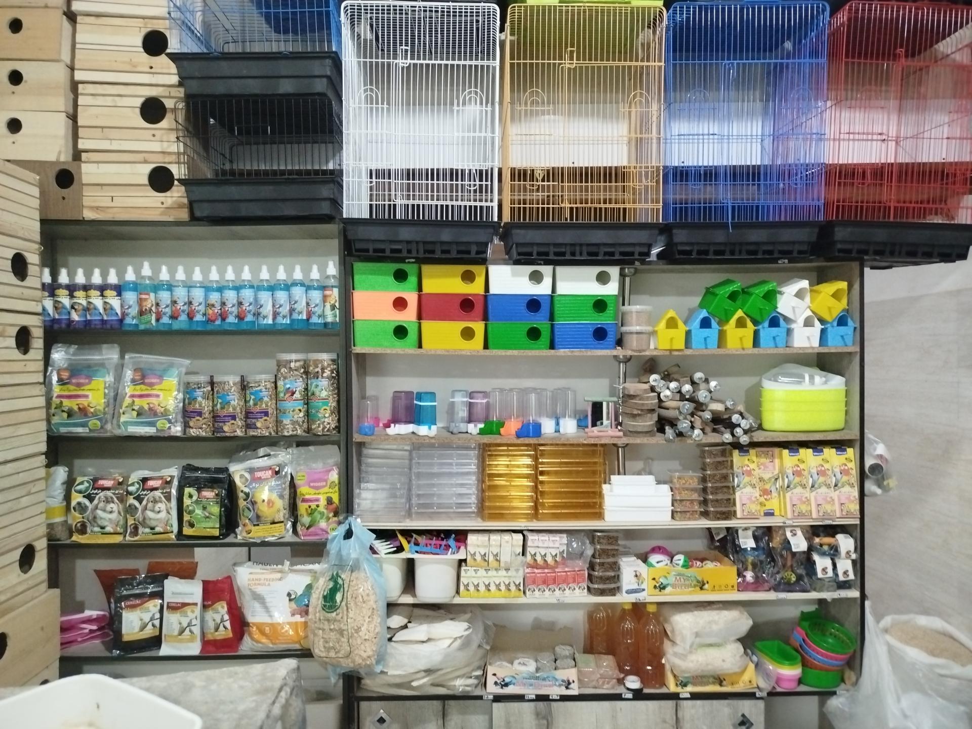 عکس پرنده سرای علی 