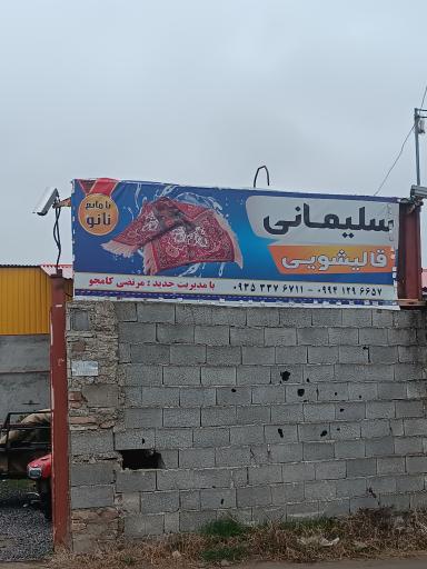 عکس قالیشویی سلیمانی