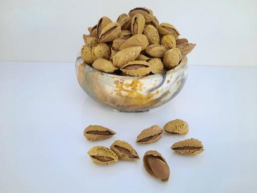 عکس آجیل و خشکبار نمونه