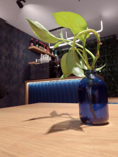 عکس کافه ژو