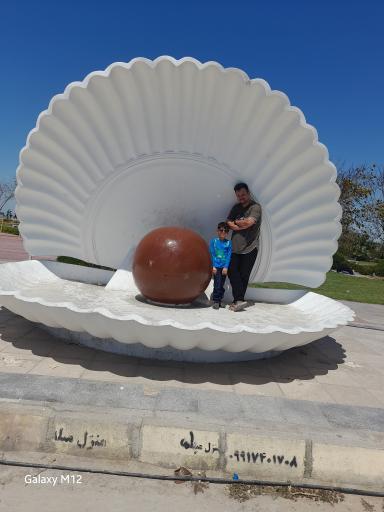 عکس ساحل صدفی