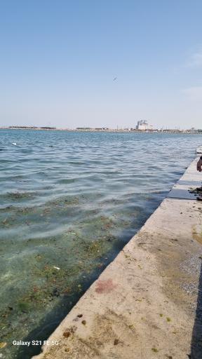 عکس ساحل صدفی