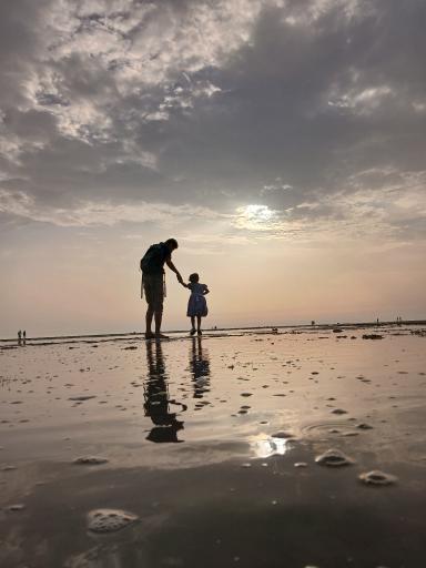 عکس ساحل صدفی