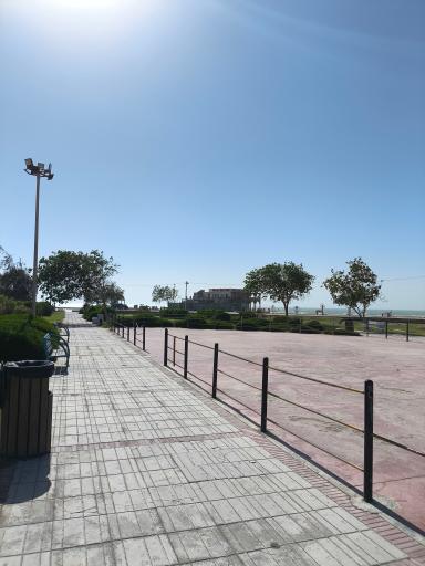 عکس ساحل صدفی