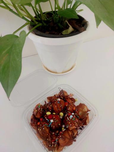 عکس مستر وافل