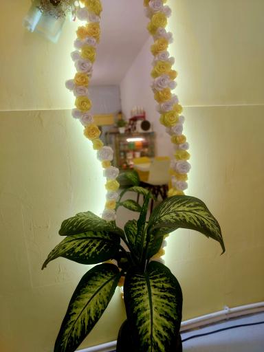 عکس مستر وافل