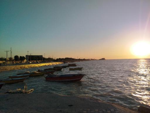 عکس ساحل صدفی