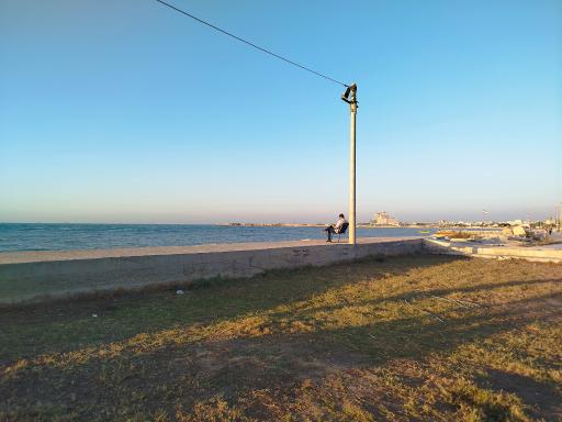 عکس ساحل صدفی