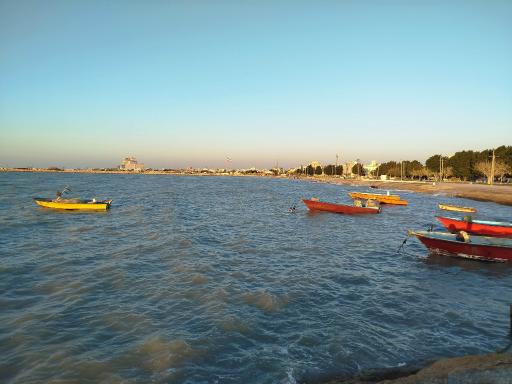 عکس ساحل صدفی