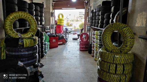 عکس رینگ و لاستیک شاملو