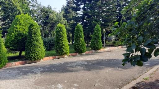 عکس مجموعه تفریحی آموزشی شرکت سهامی بیمه البرز دلسرا