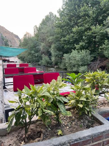 عکس رستوران شب های طهران
