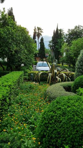 عکس مجموعه تفریحی آموزشی شرکت سهامی بیمه البرز دلسرا