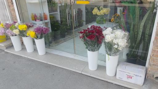 عکس گل فروشی آراس