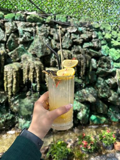 عکس رستوران آمور