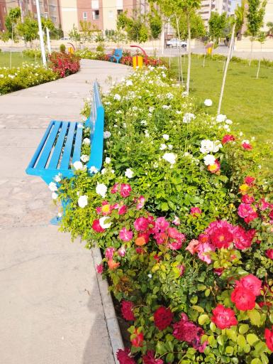 عکس بوستان یلدا