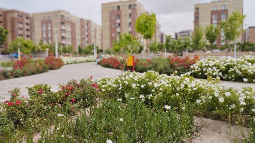 عکس بوستان یلدا