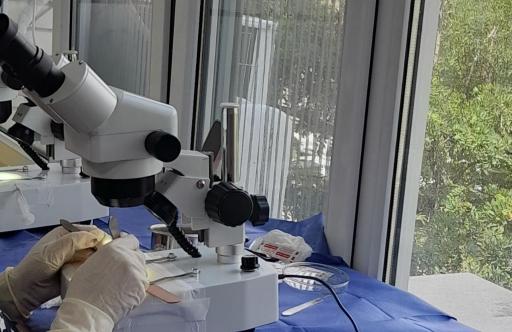 عکس کلینیک پوست و مو آریانا