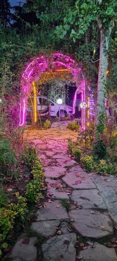 رستوران رضا مشهدی