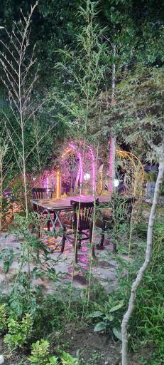 رستوران رضا مشهدی