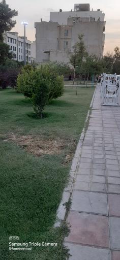 عکس بوستان عطر شکوفه