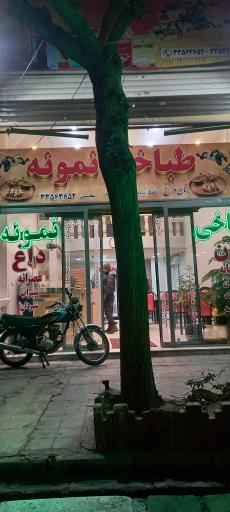 عکس طباخی  نمونه