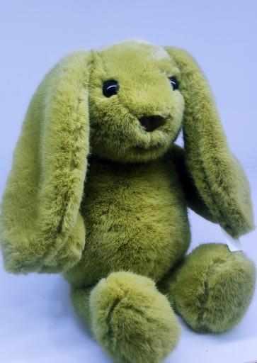 عکس مجموعه پخش اسباب بازی زارعی