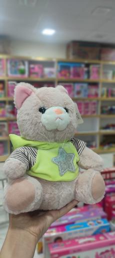 عکس مجموعه پخش اسباب بازی زارعی