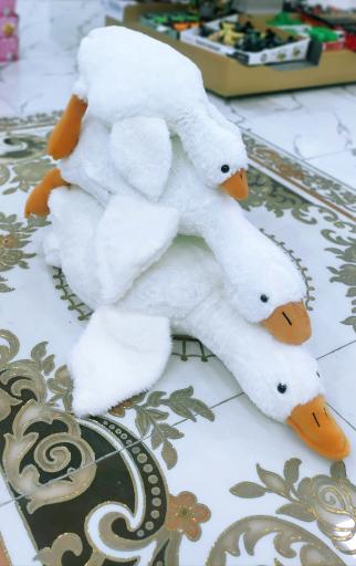 عکس مجموعه پخش اسباب بازی زارعی