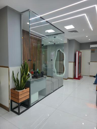 کلینیک سپینود