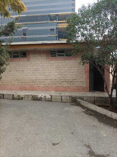 عکس سرویس بهداشتی بوستان میخک