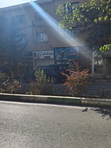 عکس سبزی خردکنی ترنج