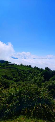 عکس امامزاده صالح