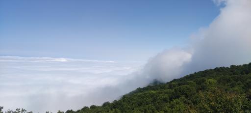 عکس امامزاده صالح