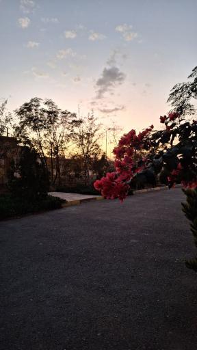 عکس دانشکده آرادان