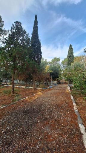 عکس دانشکده آرادان