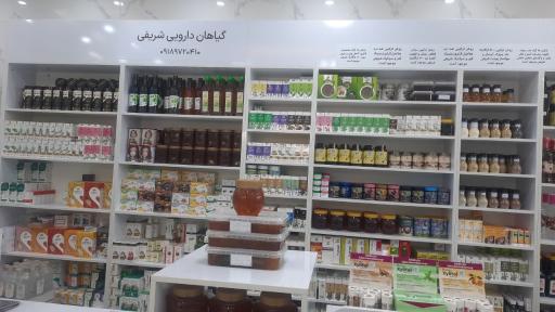 عکس گیاه دارویی شریفی 